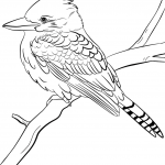 Kukabura chichotliwa