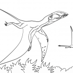 Dimorfodon