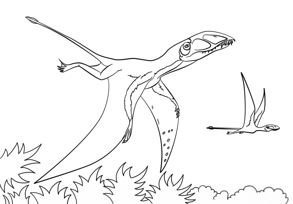 Dimorfodon