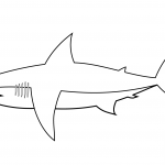 Easy Shark