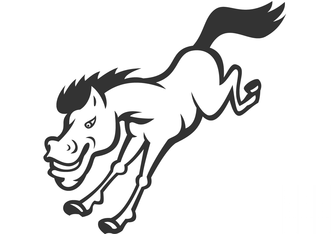 Bronco Horse Jumping