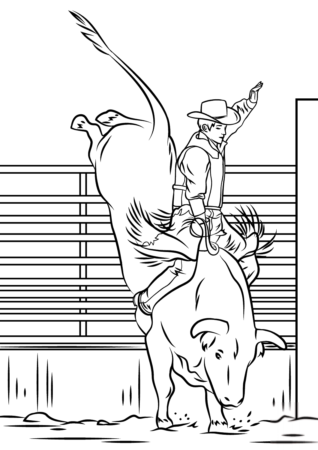 Bull Riding Rodeo
