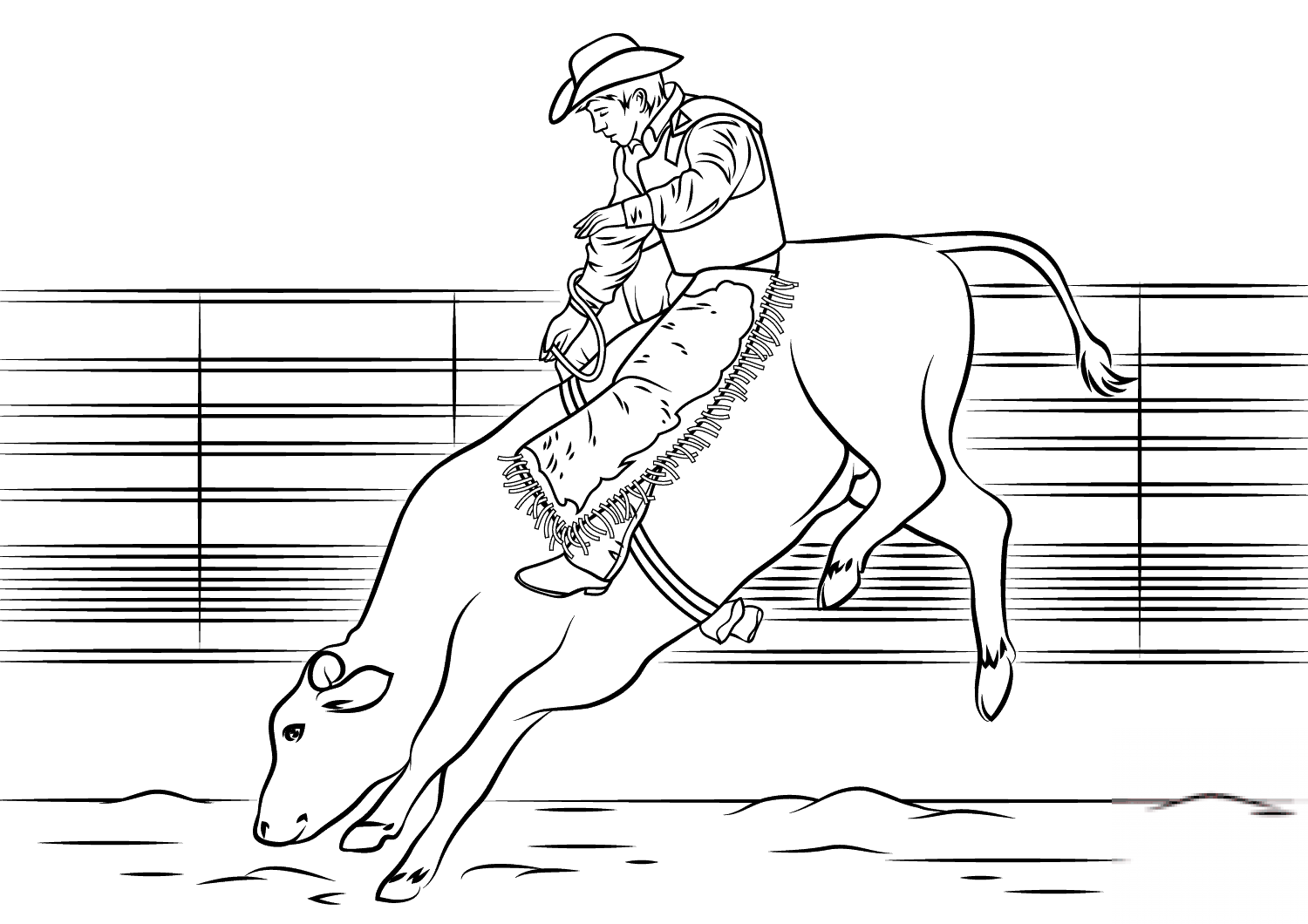 Bull Riding