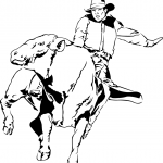 Bull Rider