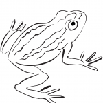 Płaz ropuchowaty