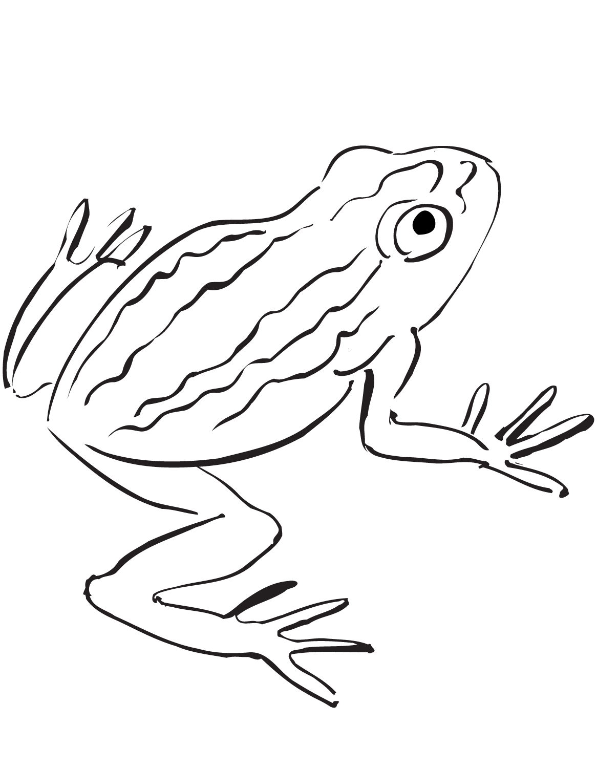 Płaz ropuchowaty