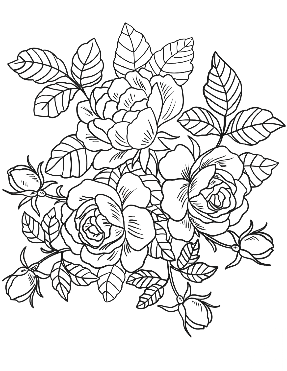 Roses Flowers