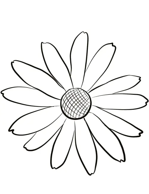 kolorowanka Rudbeckia hirta