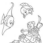 Coral Reef Fish