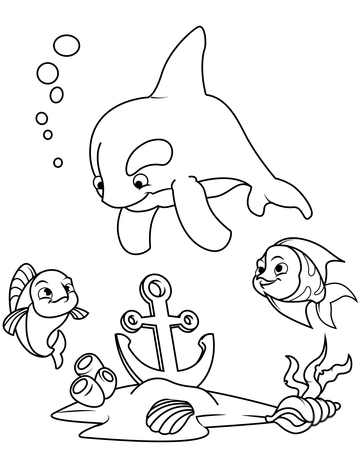 Sea Animals Found Lost Anchor