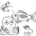 Sea Life