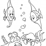 Coral Fish and Crab