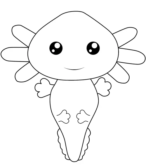 kolorowanka Salamandra