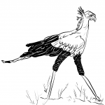 Sekretarz