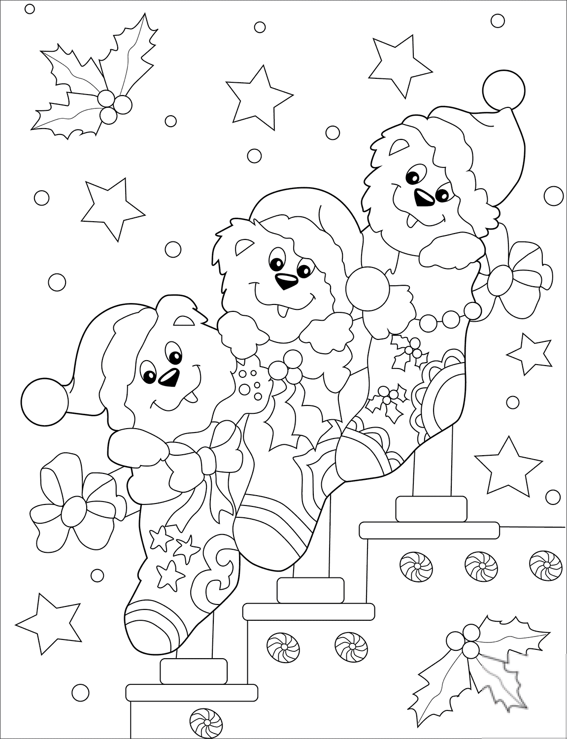 Cute Bears in Christmas Socks