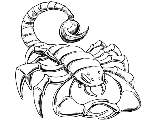 kolorowanka Skorpion