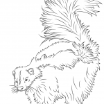 Uroczy skunks