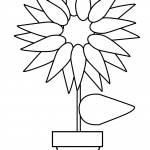 Sunflower in a Pot