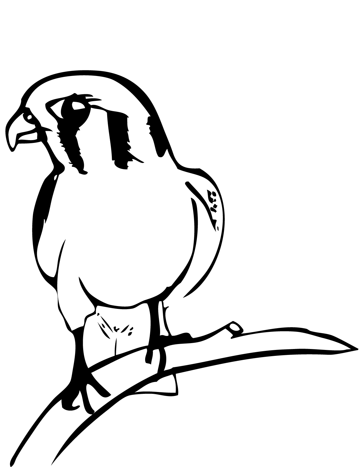 Falcon on Branch