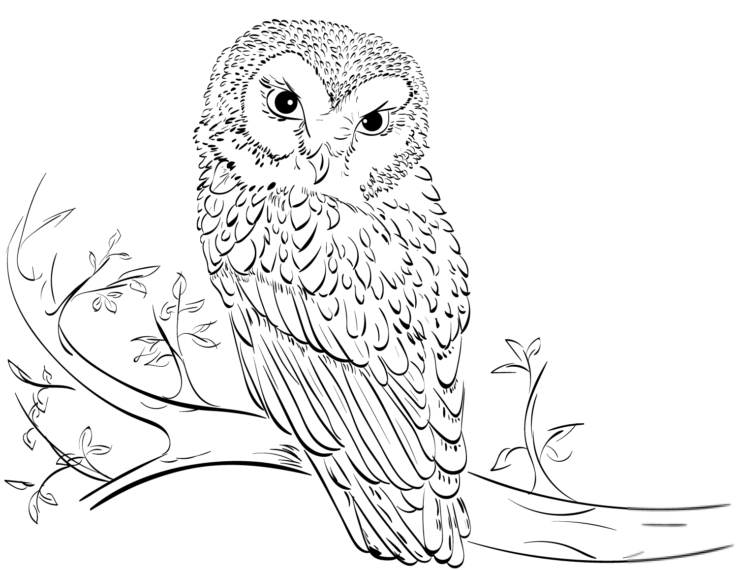 Owl on Tree
