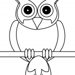 Wpatrująca się sowa