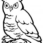 Bubo