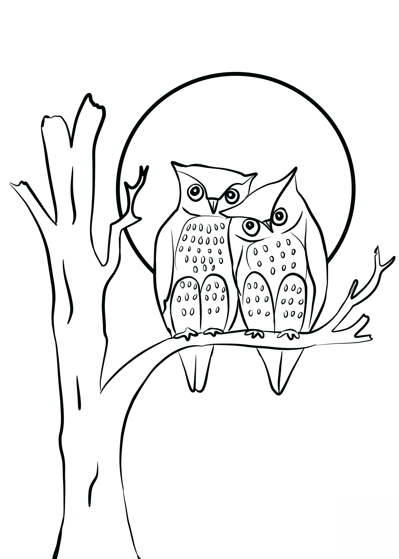 Owls Couple in Love
