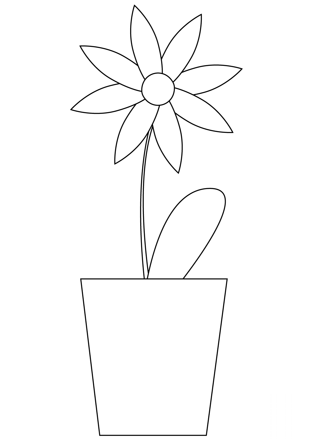 Flower in a Pot