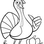 Cool Thanksgiving Turkey