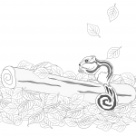 Chipmunk on a Log