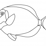 Tang Fish
