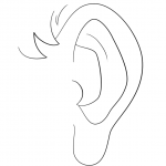 Human Ear