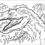 Afrovenator