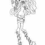 Coffin Bean Venus