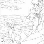 Park Narodowy Shenandoah