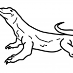 Waran z Komodo