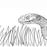 Dangerous Snake