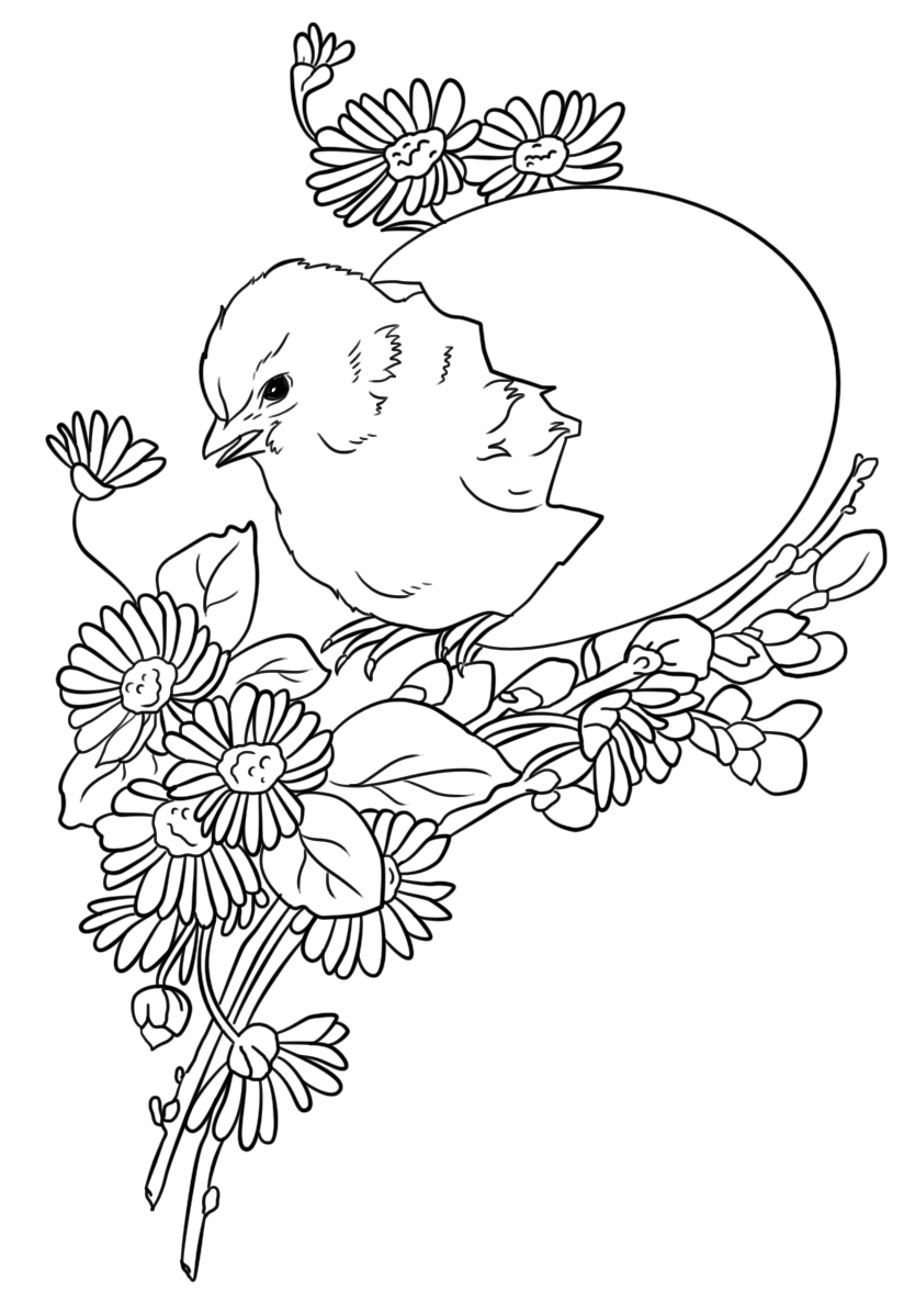Easter Chick