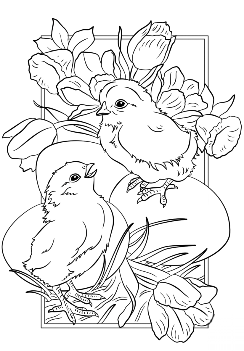 Easter Chicks
