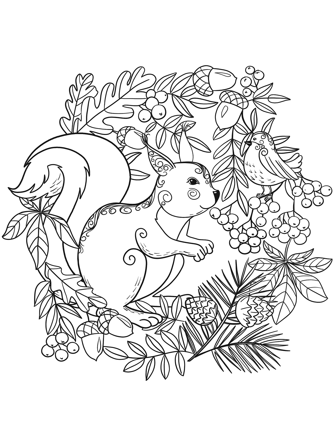 Squirrel and a Bird