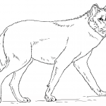 Realistyczny wilk szary