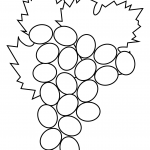 Winogrono