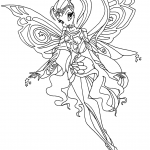 Bloomix Stella