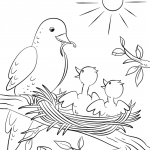 Mother Bird Feeding Chicks