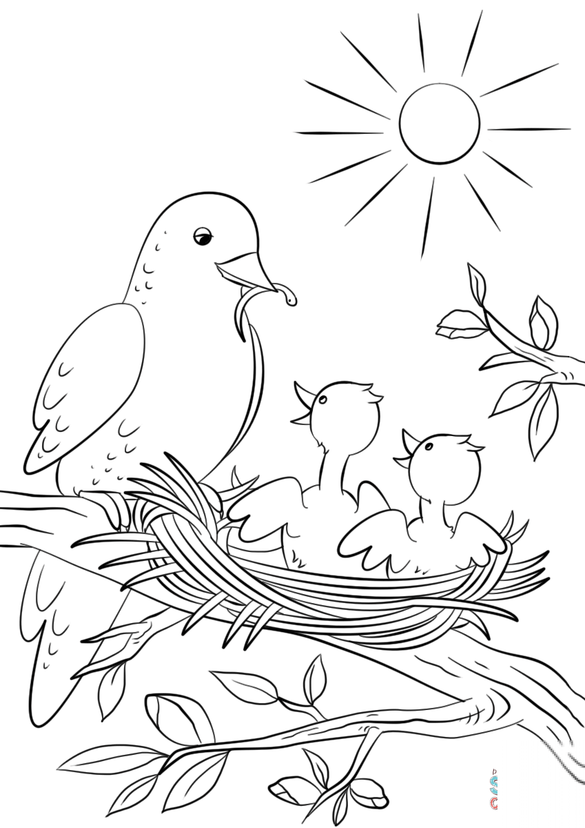 Mother Bird Feeding Chicks