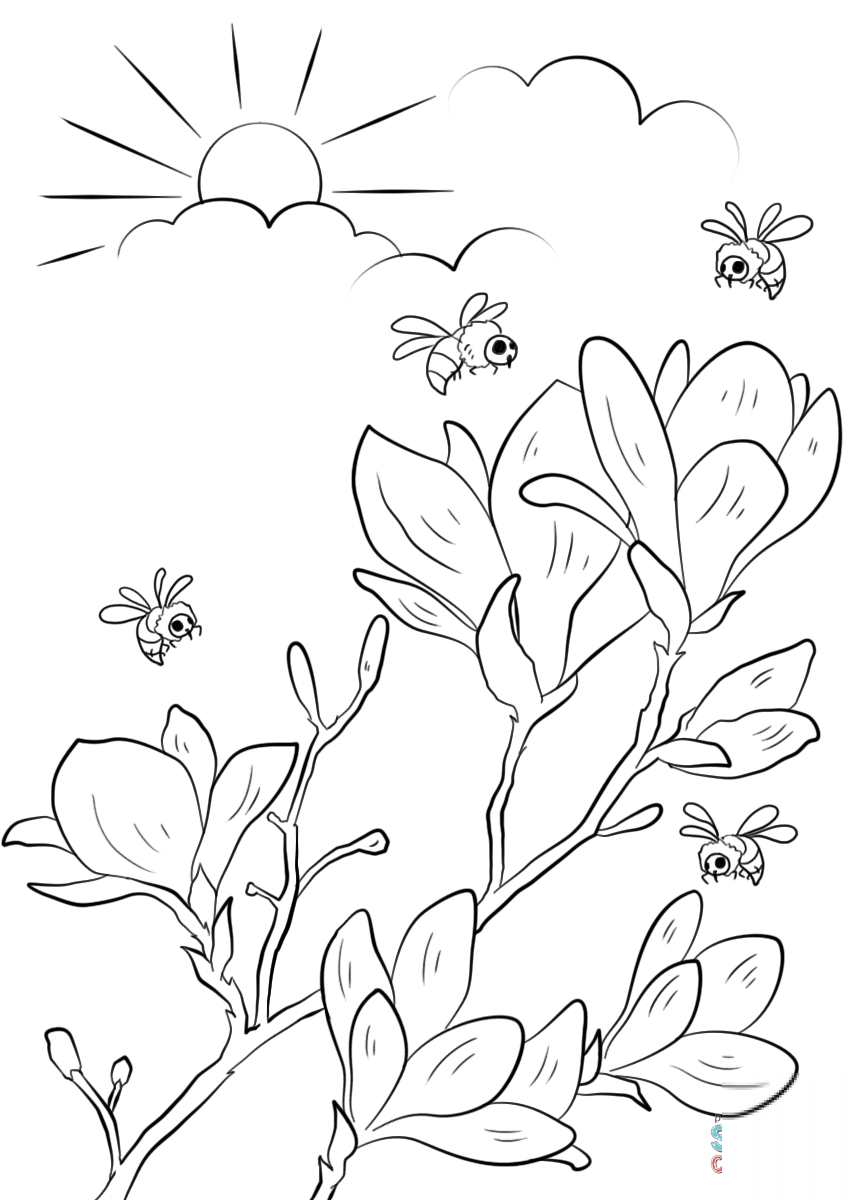 Spring Flowering Branches