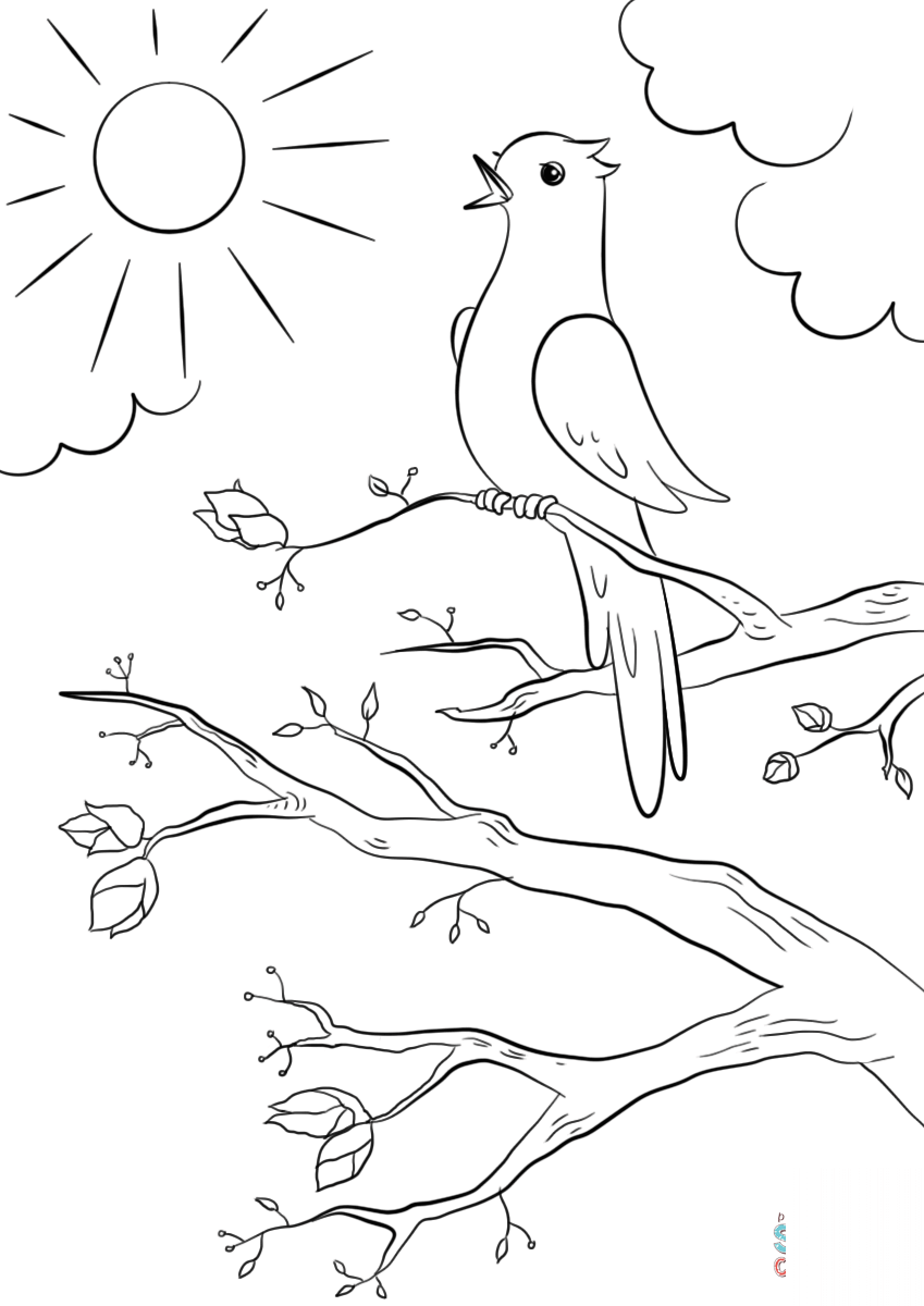 Spring Bird
