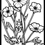 Stained Glass Poppy