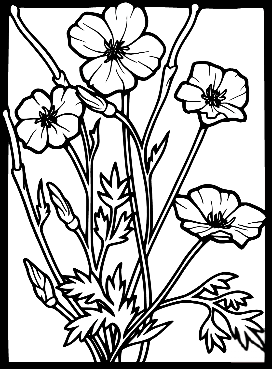 Stained Glass Poppy