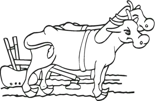 kolorowanka Wół